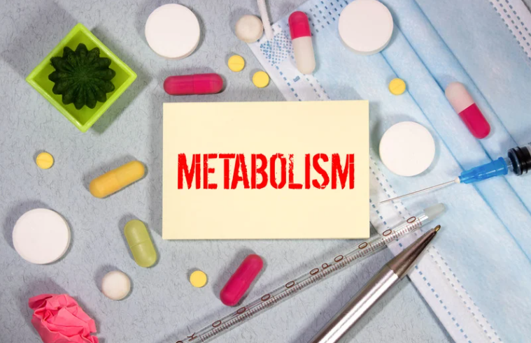 Metabolism