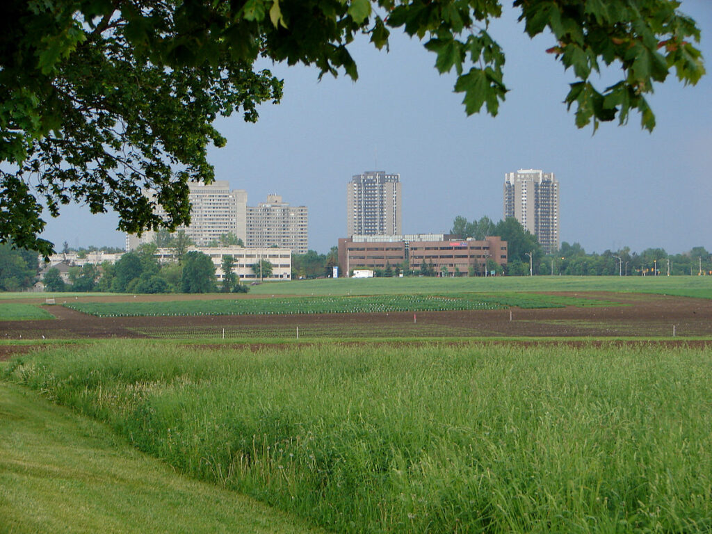 Rideauview